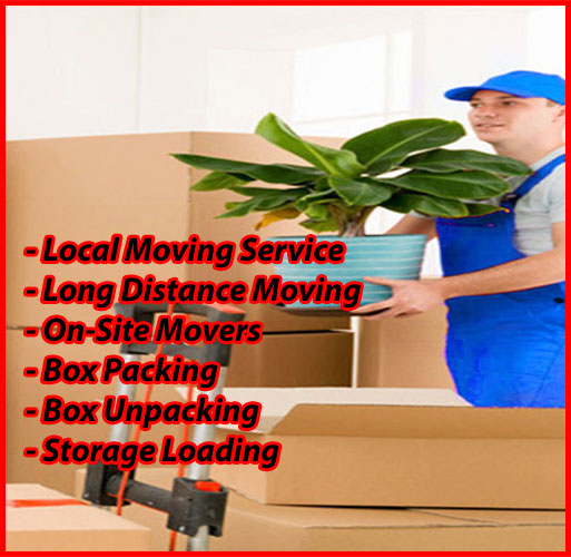 Packers And Movers Noida Sector 72